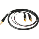 Sescom 3' 3.5mm Mini Stereo to Dual RCA Cable M / M