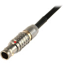 Remote Audio 5-pin Lemo to 1/8" (3.5mm) Timecode Cable (3')