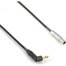 Remote Audio Timecode Adapter Cable 3.5mm RA TS to 5-Pin LEMO Male for IFB (18")