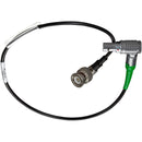Ambient Recording BNC to LEMO 5-Pin Input Cable for Ambient Timecode Devices (9 O'clock/270°, 16")