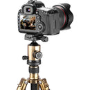 Neewer PU-50 Universal Quick Release Plate without Screw Ring (2-Pack)