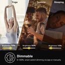 TP-Link KS230 V2 Kasa Smart Wi-Fi Dimmer Switch 3-Way Kit