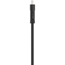 Belkin Standard HDMI Cable (4')