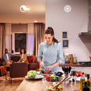 Philips Hue A19 Bulb (White, 2-Pack)