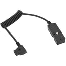 CAMVATE Male D-Tap to 4-Port Female D-Tap Splitter Hub (11.8 to 39.4")