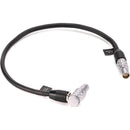 Tilta 4-Pin Male to 4-Pin Female Power Cable for Ronin 2 Module (11.8")