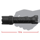 COAST Polysteel 600 LED Flashlight (Sporting Goods Clamshell Packaging)