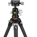 Vanguard VEO 5 234C Carbon Fiber Tripod with BH-110S Ball Head