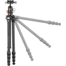 Vanguard VEO 5 234C Carbon Fiber Tripod with BH-110S Ball Head