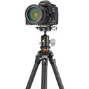 Vanguard VEO 5 234C Carbon Fiber Tripod with BH-110S Ball Head