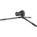 Vanguard VEO 5 234C Carbon Fiber Tripod with BH-110S Ball Head