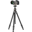 Vanguard VEO 5 264A Aluminum Tripod with BH-160S Ball Head