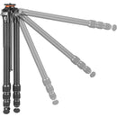 Vanguard VEO 5 304AB Aluminum Tripod with BH-250S Ball Head