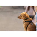 Belkin Waterproof AirTag Holder with Keyring (Single, Blue)