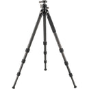 Robus RCC-3060 Carbon Fiber Tripod with Ball Head
