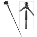 Robus RCC-3060 Carbon Fiber Tripod with Ball Head