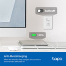 TP-Link Tapo P210M Smart Wi-Fi Outlet with Energy Monitoring (Matter)