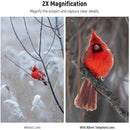 Neewer LS-41 PRO 60mm Telephoto Lens with Smartphone Clip & Filter Adapter