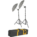 Lowel Tota-light Two-Light Kit with Case