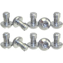 Desmond Standard 1/4"-20 Cap Screws (10-Pack)