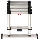 Telesteps Combi Ladder (12')