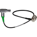 Ambient Recording BNC to LEMO 5-Pin Input Cable for Ambient Timecode Devices (3 O'clock/90°, 16")