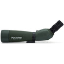 Celestron Regal M2 80ED Spotting Scope with 20-60x Eyepiece (Angled Viewing)