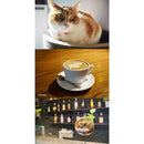 7artisans Photoelectric 25mm f/1.8 Lens for Micro Four Thirds Cameras (Black)