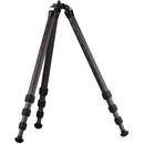 Really Right Stuff TVC-24L Versa Series 2 Mk2 Carbon Fiber Tripod (Long)