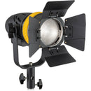 Genaray Torpedo Portable Daylight Focusing 2-LED Light Kit
