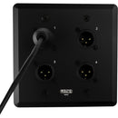 SoundTools WallCAT MX-B Wall Plate with Four XLR 3-Pin Male Connectors (Black)