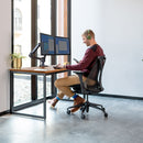 Ergotron Lx Desk Dual Monitor Arm