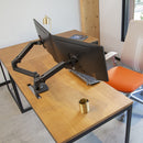 Ergotron Lx Desk Dual Monitor Arm