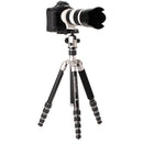 Benro MeFoto GlobeTrotter Aluminum Travel Tripod Kit (Titanium)