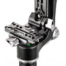 Benro Mini Gimbal Head Carbon Fiber Pl100N Plate