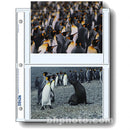Print File 57-4P Archival Storage Page for 4 Prints (5 x 7", 25-Pack)