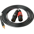 Sescom SES-IPOD-XLRM06 3.5mm Stereo to Dual XLR Male Mono Audio Cable (6')