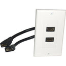 Comprehensive HDMI Pigtail Wallplate (Dual-Port)