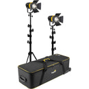 Genaray Torpedo Portable Daylight Focusing 2-LED Light Kit