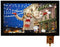 MULTICOMP PRO MP013332 TFT LCD, 11.6 ", 1920 x 1080 Pixels, Landscape, RGB, 12V