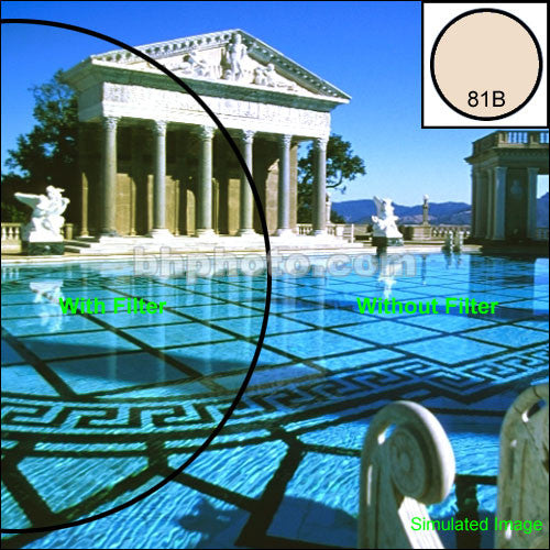 Tiffen 2 x 3" 81B Light Balancing Filter