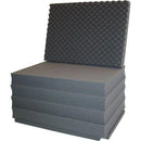 PortaBrace PB-2400FO Replacement Foam Set