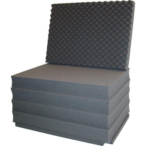 PortaBrace PB-2400FO Replacement Foam Set