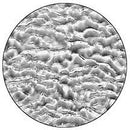 Rosco Image Effects Black and White Glass Gobo -