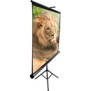 Elite Screens T120UWV1 Portable Tripod Screen (72x96")
