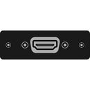 FSR IPS-V610S-BLK HDMI Female  to HDMI Female Insert Plate (Black)