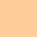 LEE Filters 1/2 CTS Daylight Conversion Filter (48" x 25' Roll)