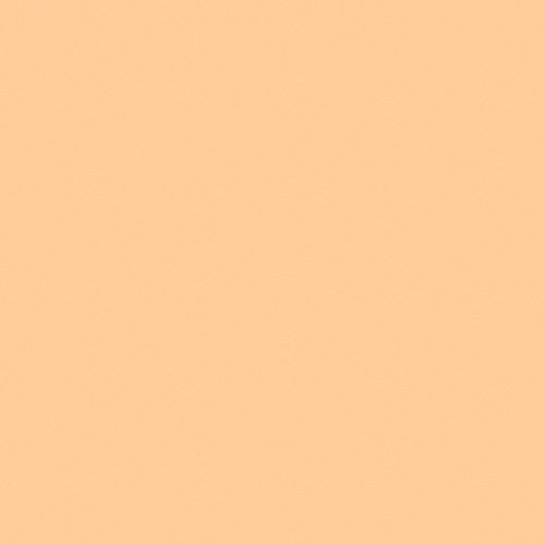 LEE Filters 1/2 CTS Daylight Conversion Filter (48" x 25' Roll)