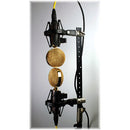 Pinnacle Microphones FAT Top Ribbon Microphones (Brown Body and Gold Grille, Stock Transformer, Pair)
