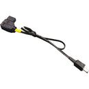 IDX System Technology DC-DC Cable for JVC GY-HM100 Camcorders